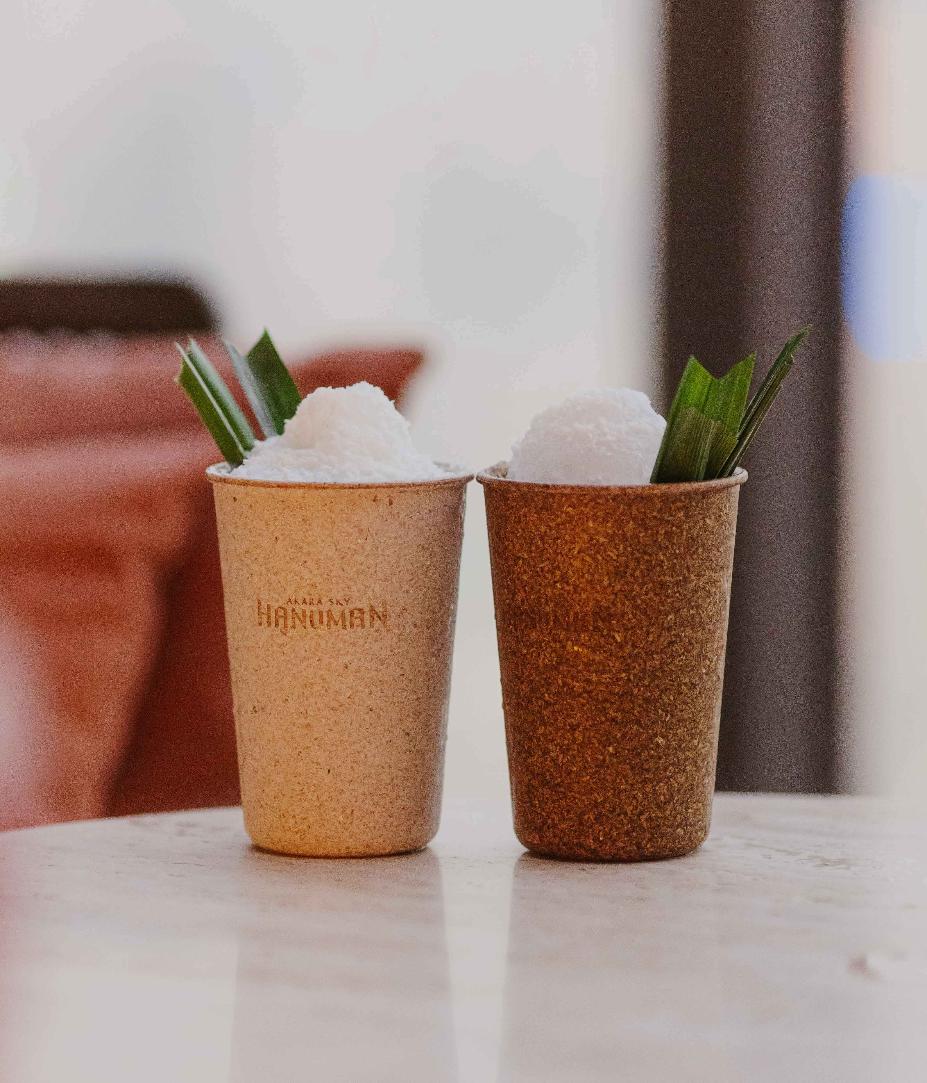 Eco-Cup Thai Slushies 
